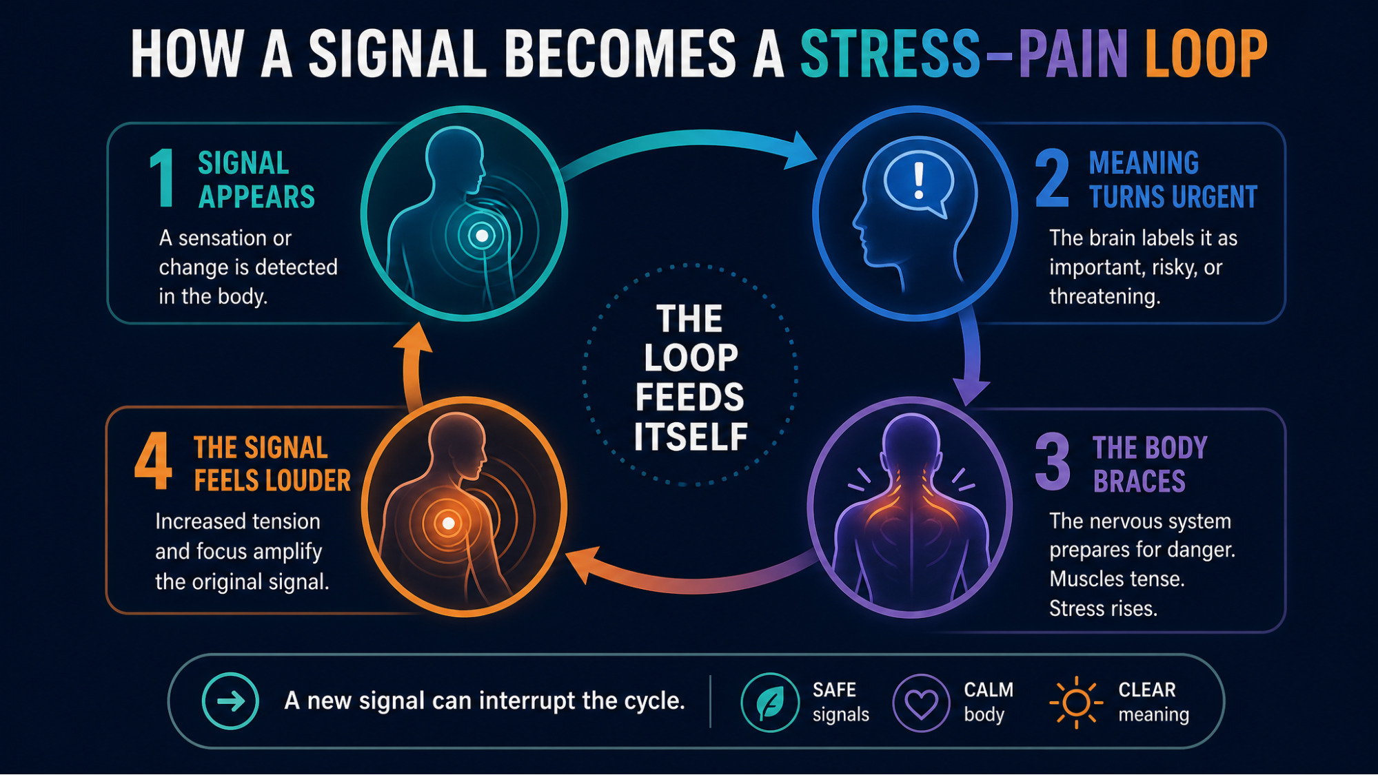 IMAGE SLOT 2 — The Self-Reinforcing Stress-Pain Loop — Diagram of the stress-pain loop showing how a sensation can escalate into a self-reinforcing cycle
