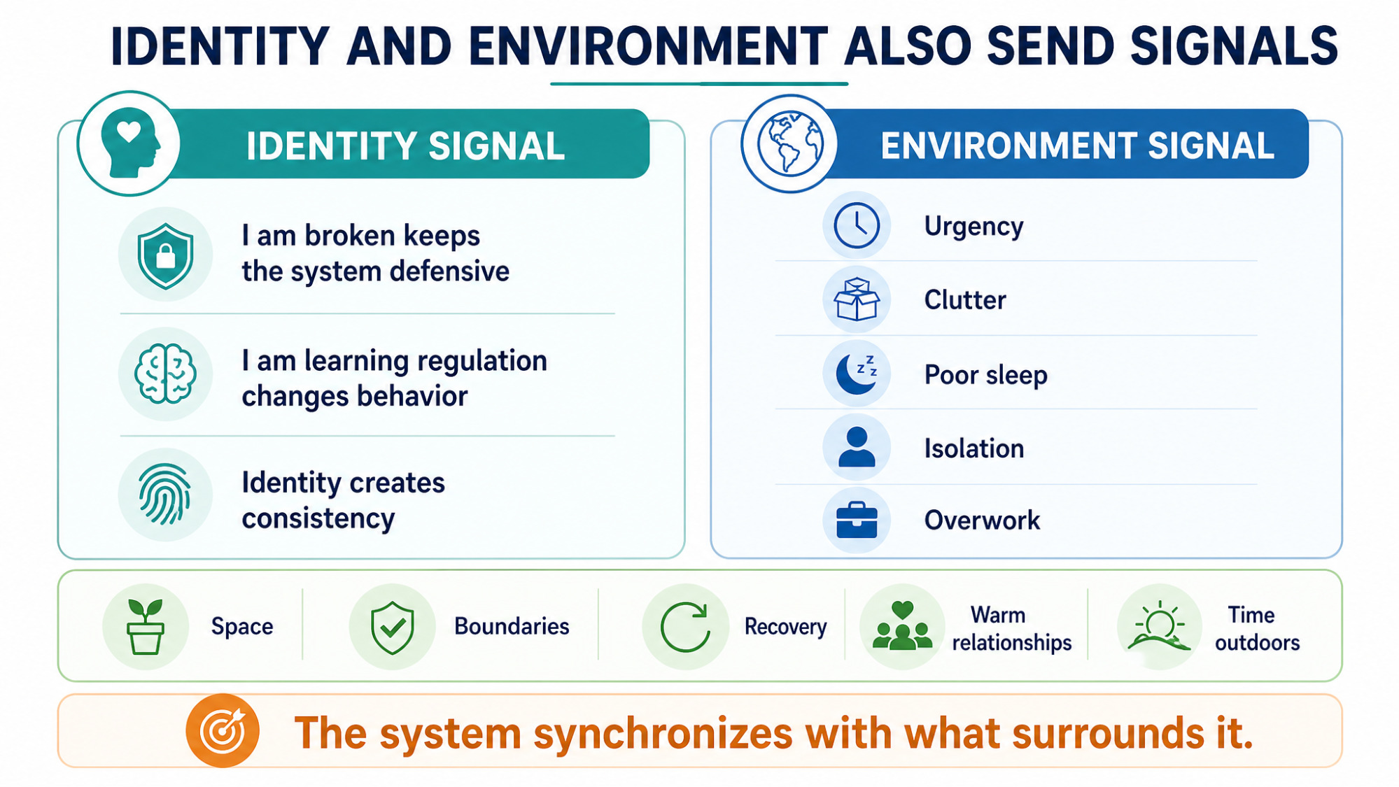 IMAGE SLOT 4 — Identity and Environment as Signals — Illustration showing how identity and environment shape the baseline signals the body keeps receiving