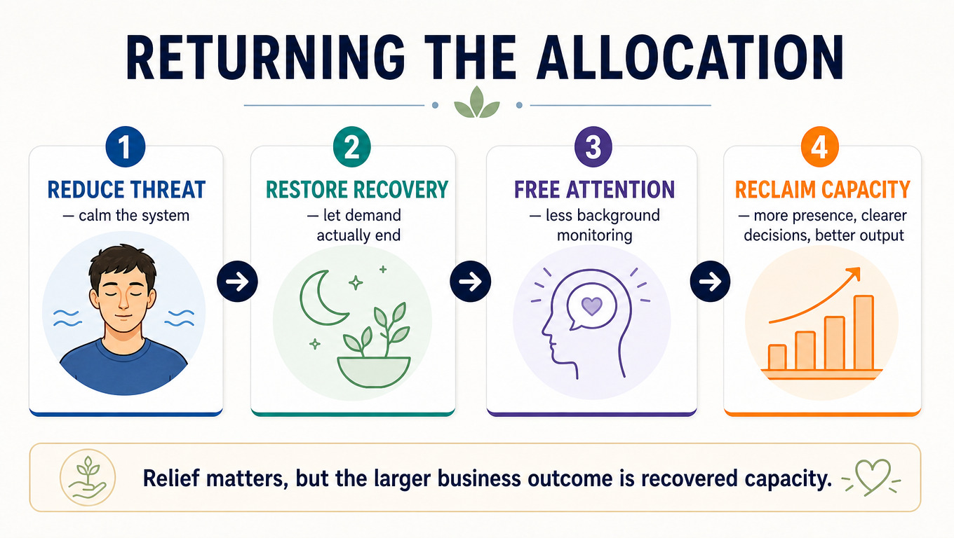 IMAGE SLOT 3 — The Four-Step Capacity Return — Four-step sequence: reduced threat, restored recovery, freed attention, and reclaimed capacity