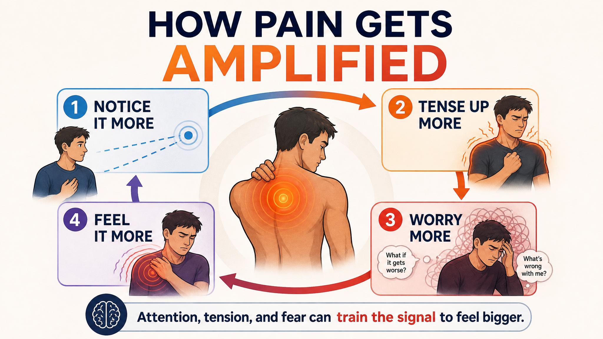 IMAGE SLOT 3 — The Reinforcement Sequence: Diagram of the reinforcement sequence: signal, meaning, fear, vigilance, and protective behavior feeding pain
