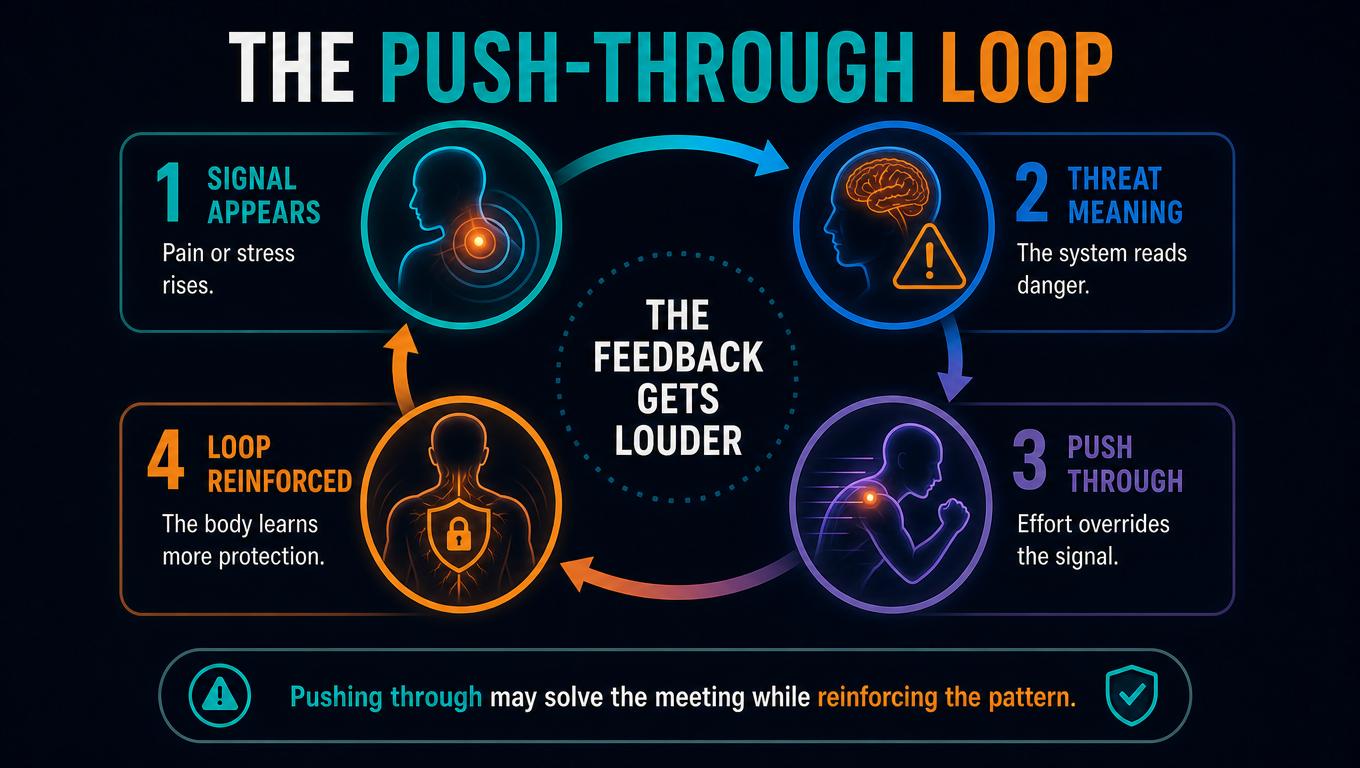 IMAGE SLOT 2 — The Push-Through Loop — Feedback loop showing signal, threat meaning, push-through behavior and reinforcement