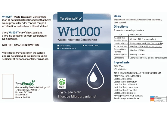 Case Studies Wheat Trials grown with EM-1® Microbial soil conditioner