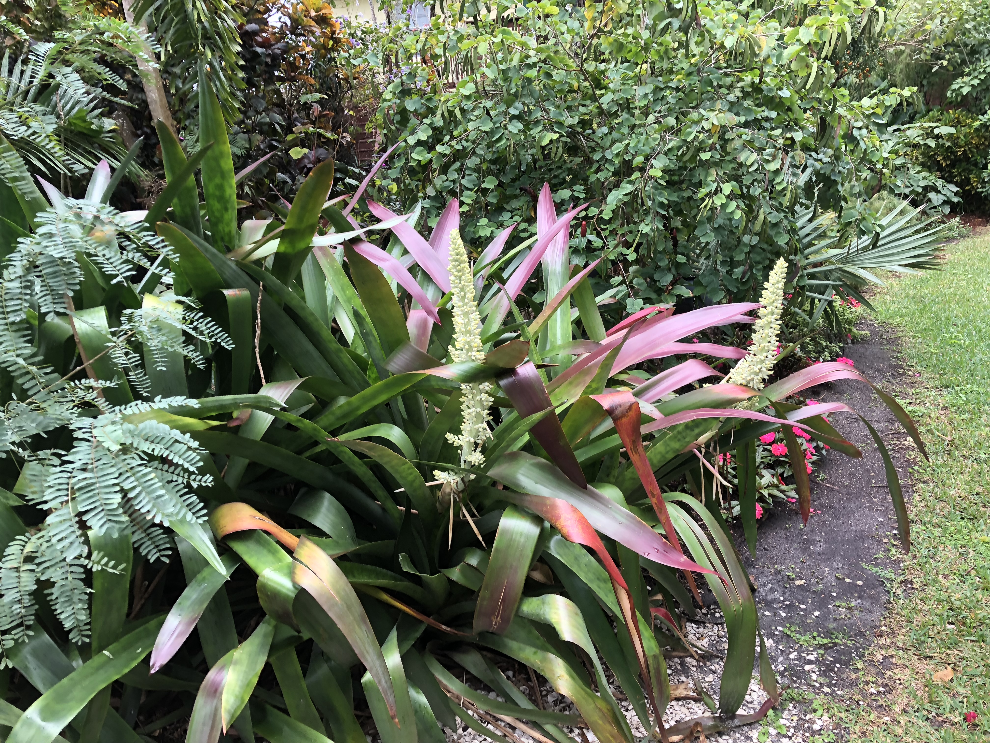 Full property landscape