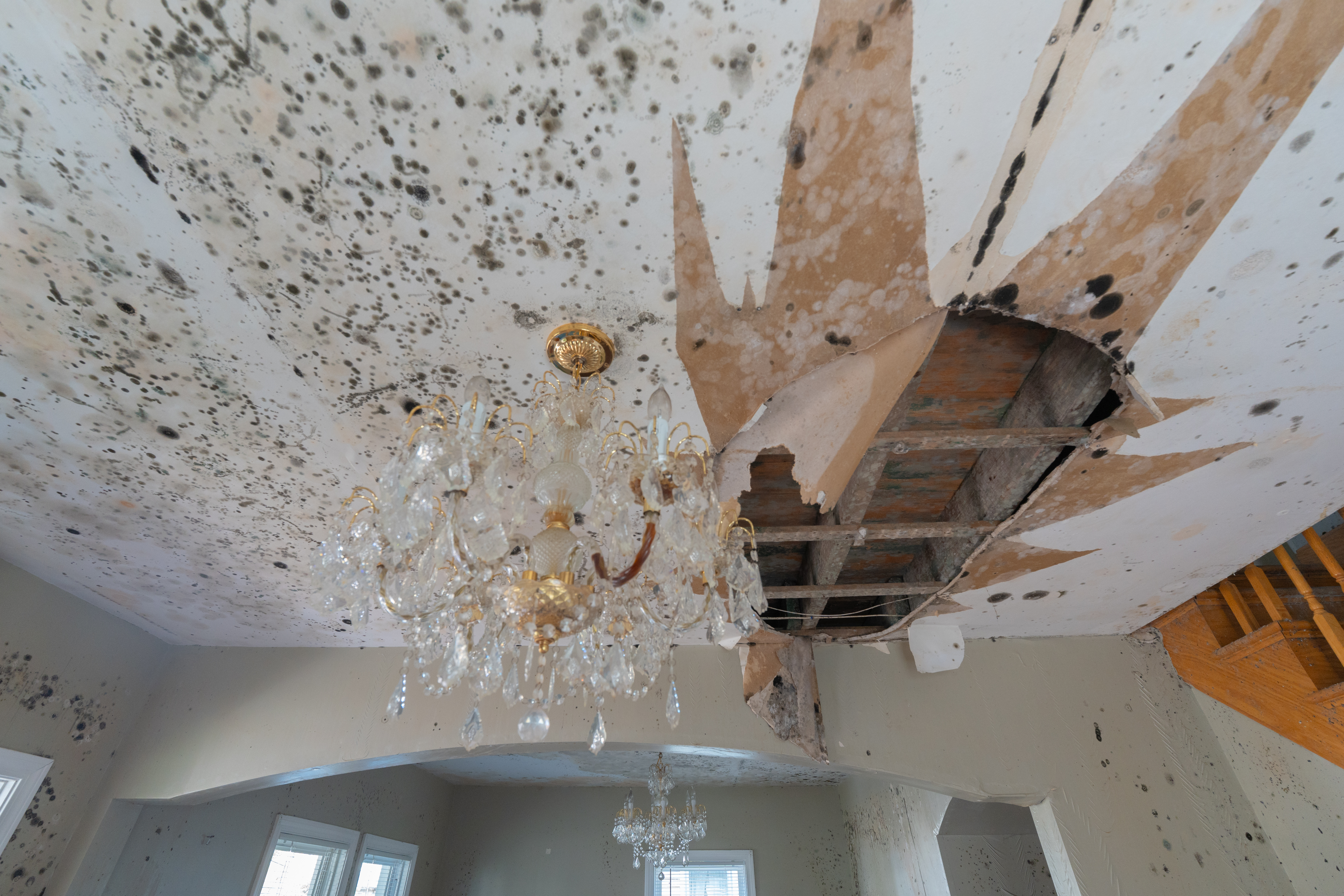 Mold Remediation in Huntingdon