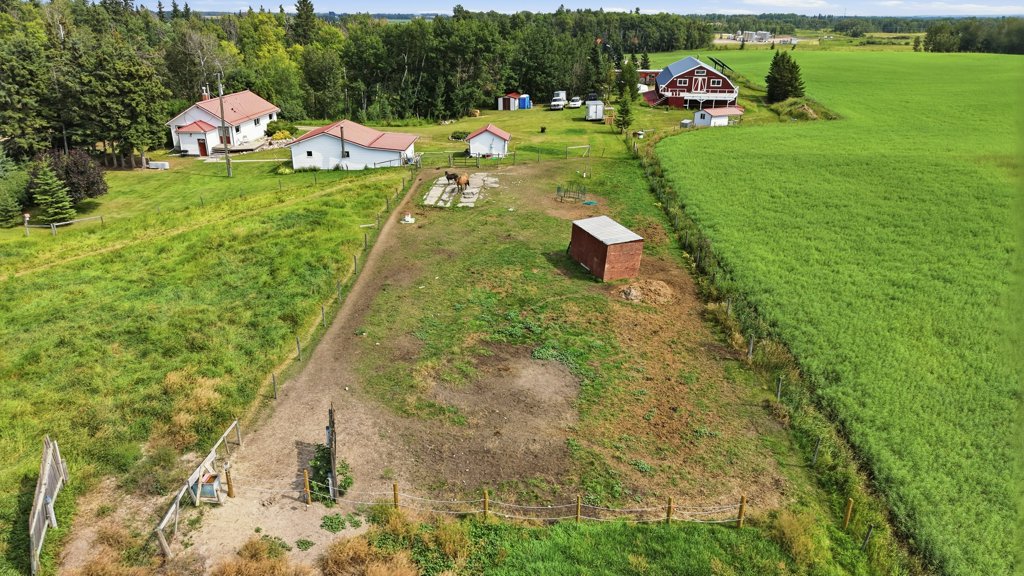 Horse and pasture area