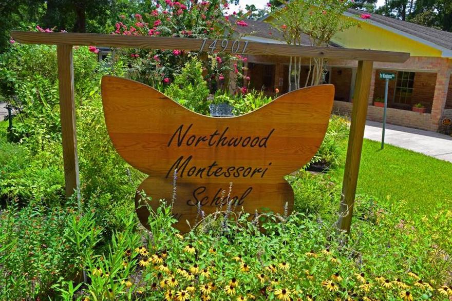 Why Northwood Montessori Is Thrilled With Their Montessori Thrive Website