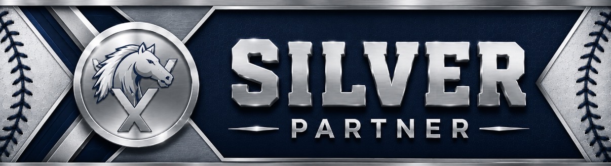 Silver Partner