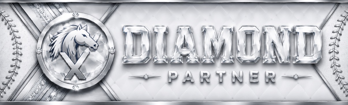 Diamond Partner