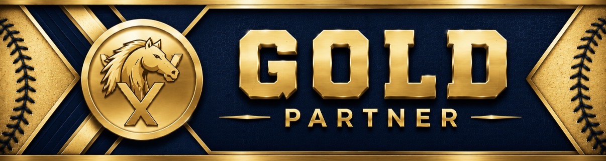 Gold Partner