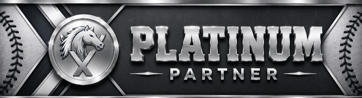 Platinum Partner