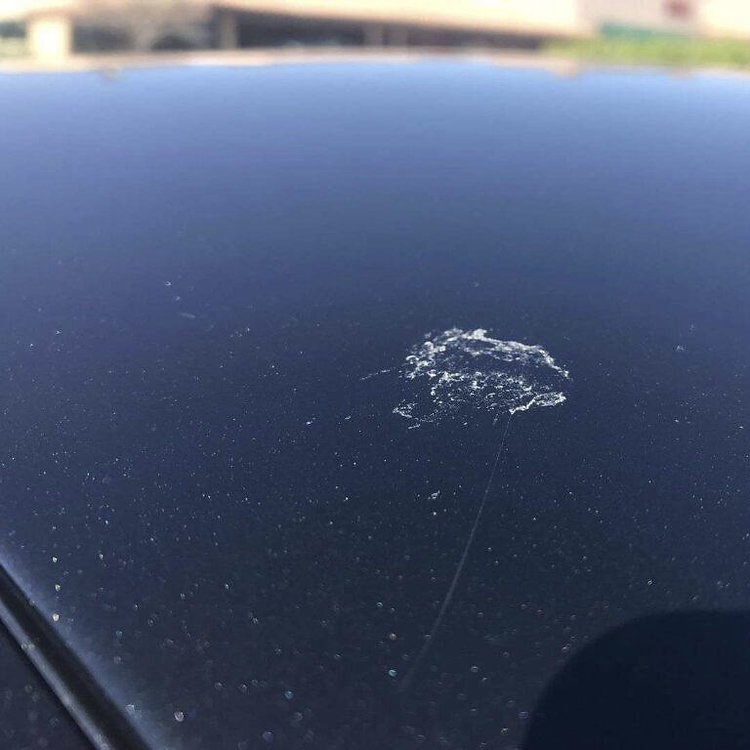 Tree sap damage covered by the ceramic coating warranty