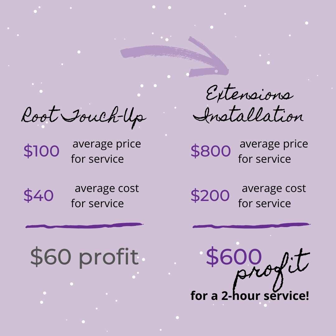 root touch up vs extensions installation 10X your profits for a 2 hour service