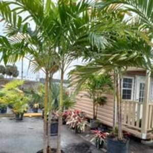 Landscaping Tampa