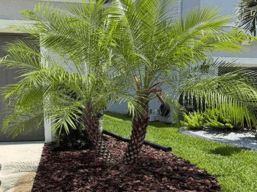 Installation in Tampa