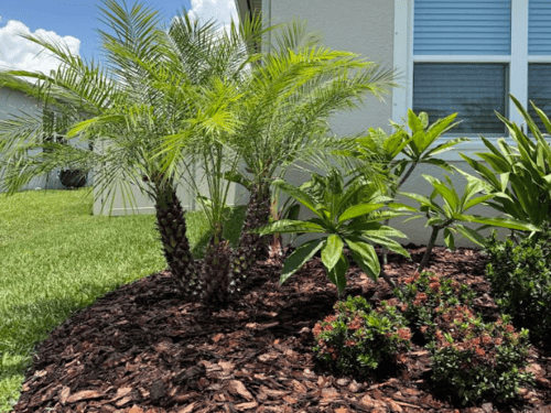 Design in Tampa