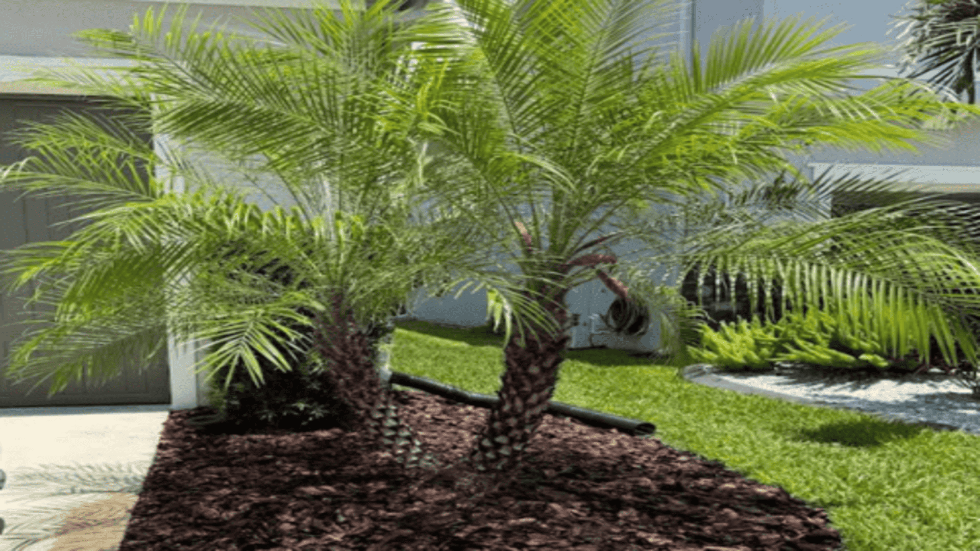 Northdale Planting