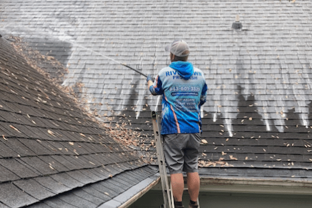 Roof Cleaning, Easton Pennsylania