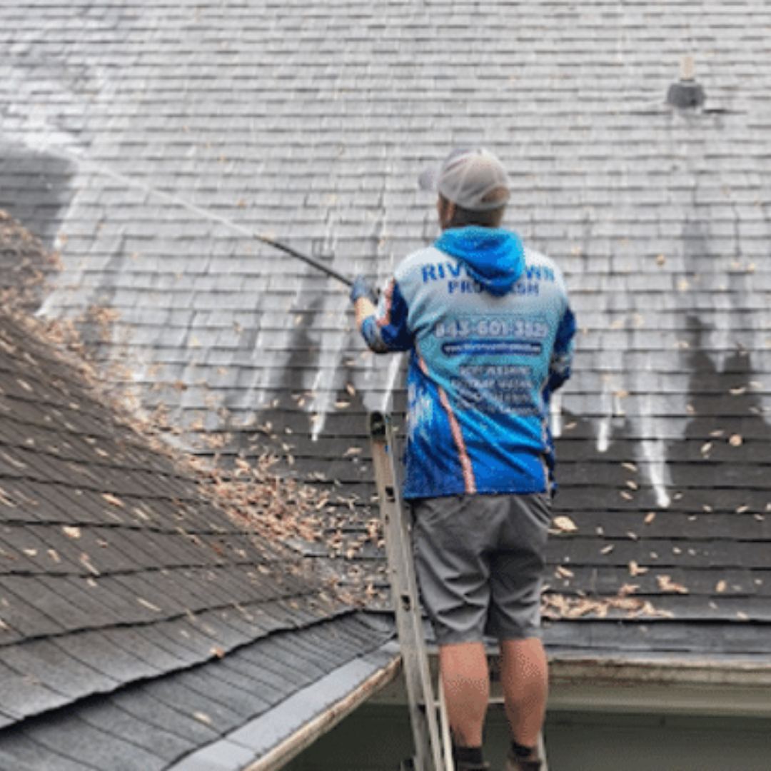 roof cleaning Eston Pennsylvania