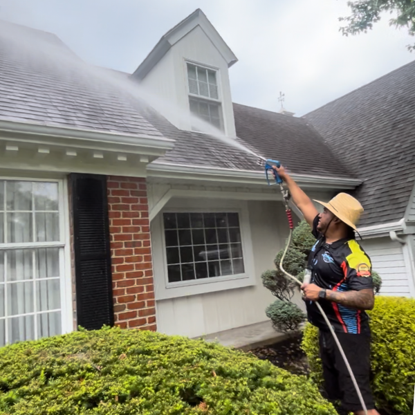 roof cleaning Eston Pennsylvania
