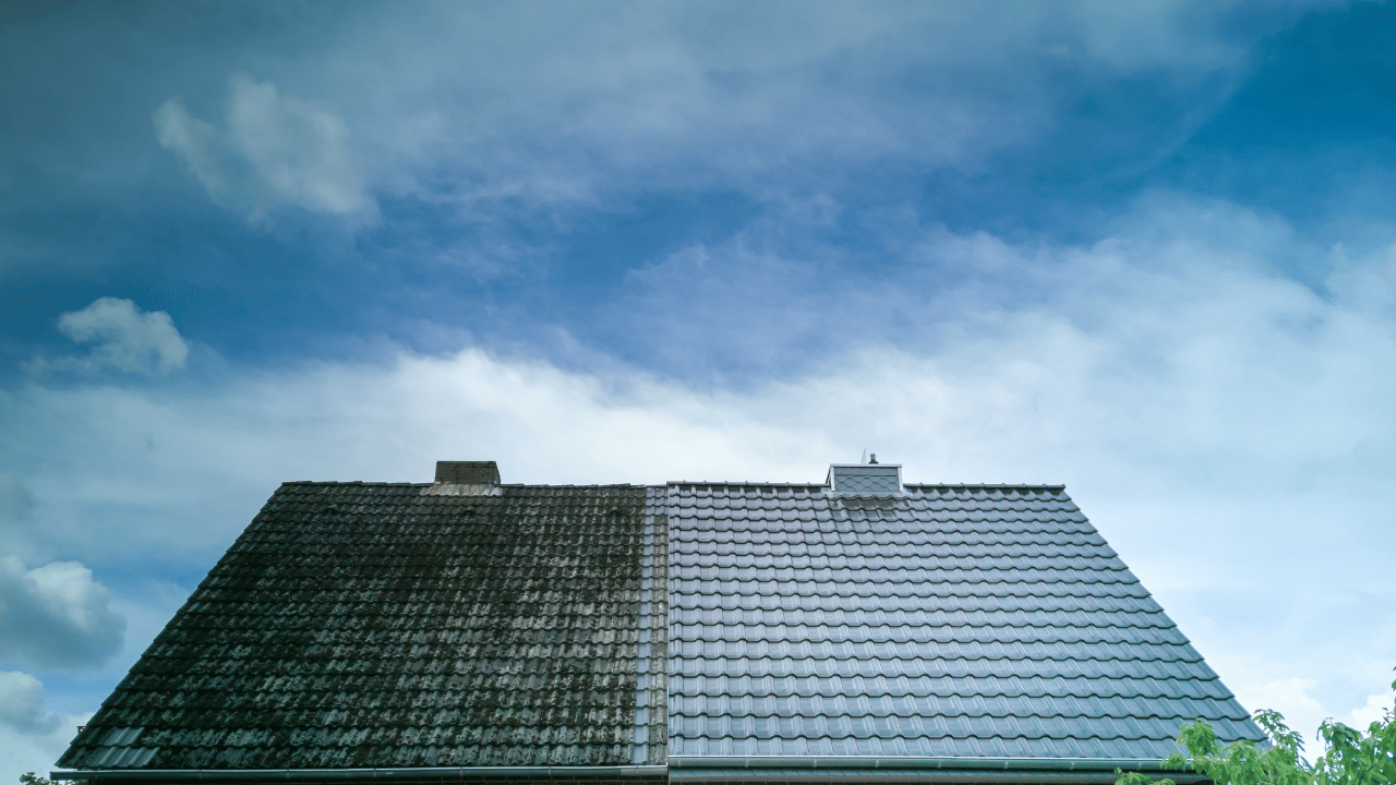 Roof Cleaning, Easton Pennsylania