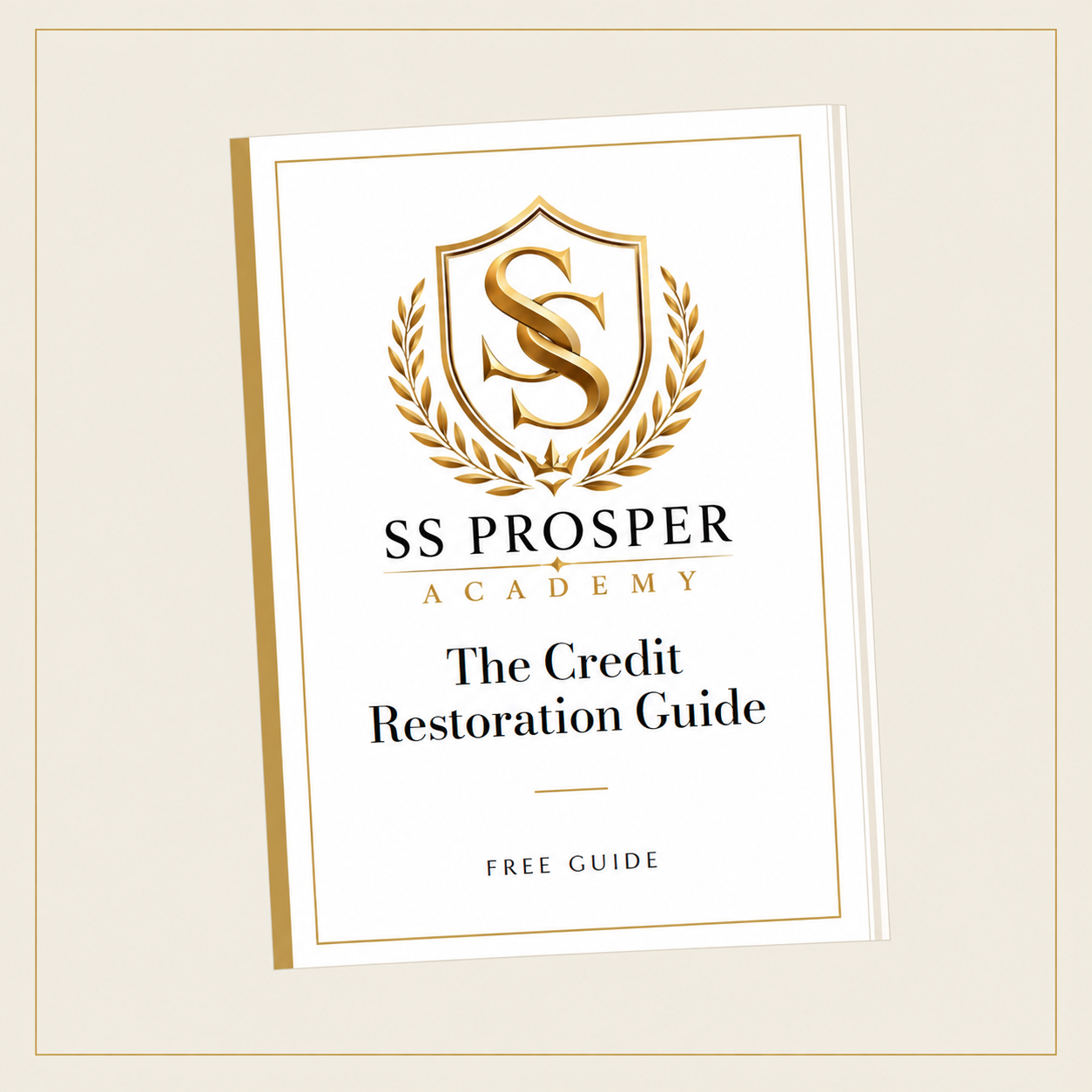 Free funding guide by SS Prosper Academy