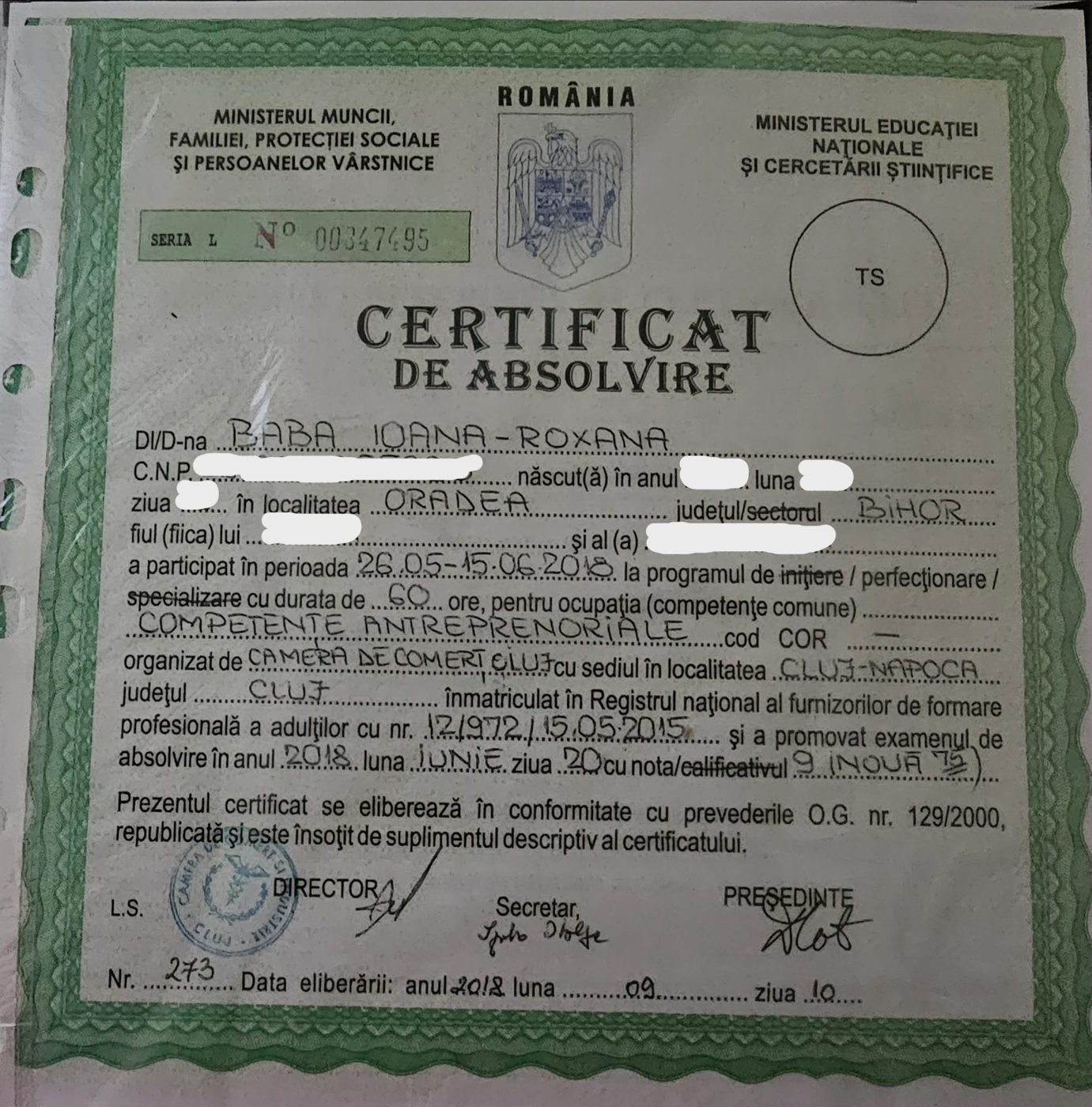 Diplomă Competențe antreprenoriale