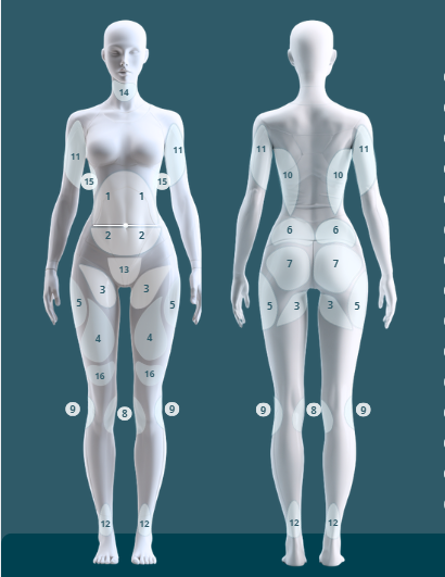 Woman's body illustrating body contouring areas for and Vaser liposuctionat One8Clinic, Melrose Arch Woman's body illustrating body contouring areas for and Vaser liposuctionat One8Clinic, Melrose Arch