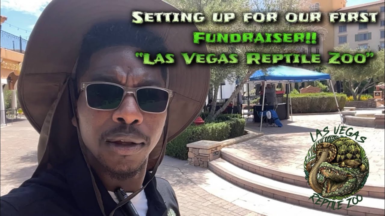 Setting up for the first Las Vegas Reptile Zoo fundraiser