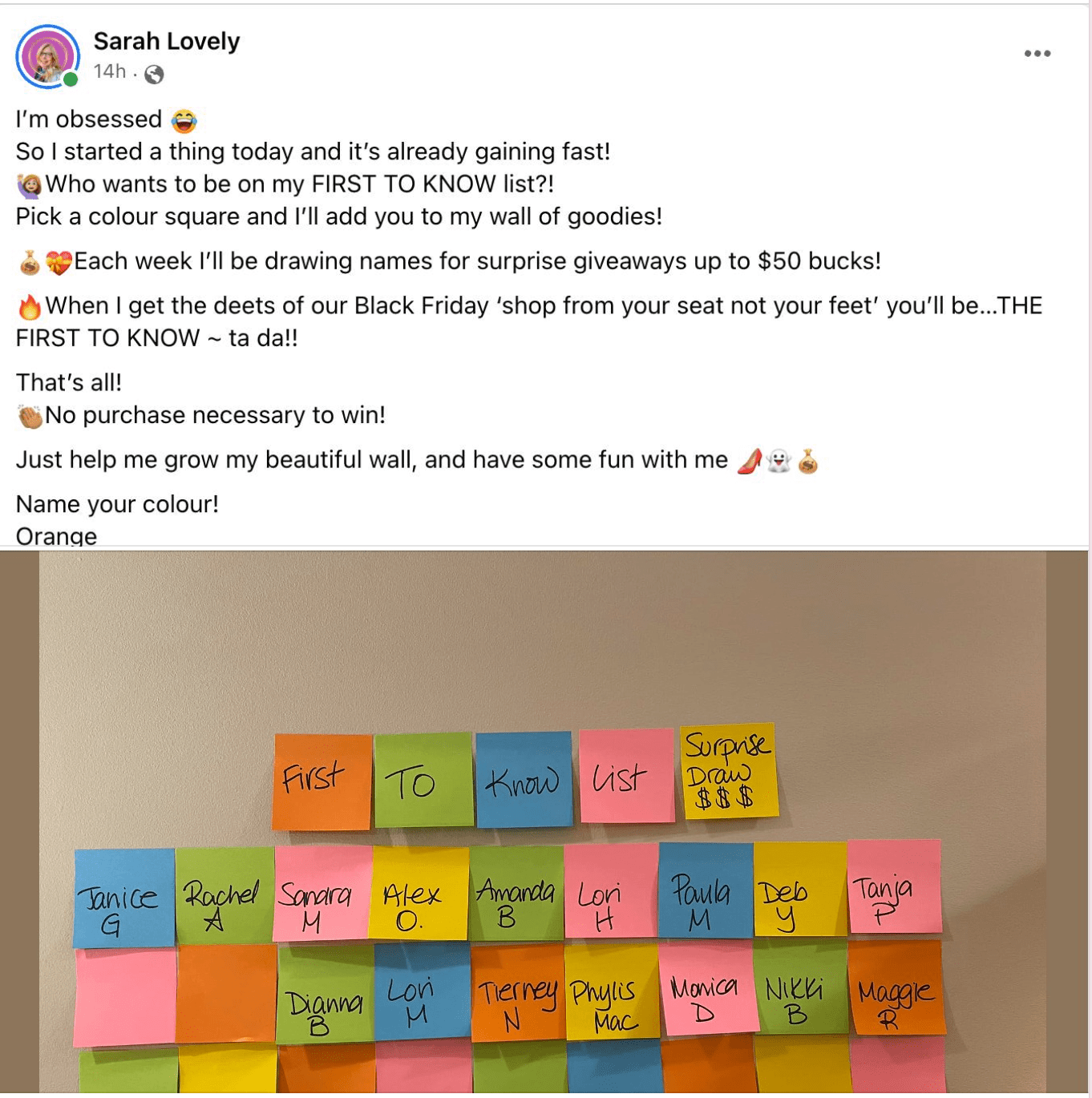 Sarah Lovely's FOMO wall