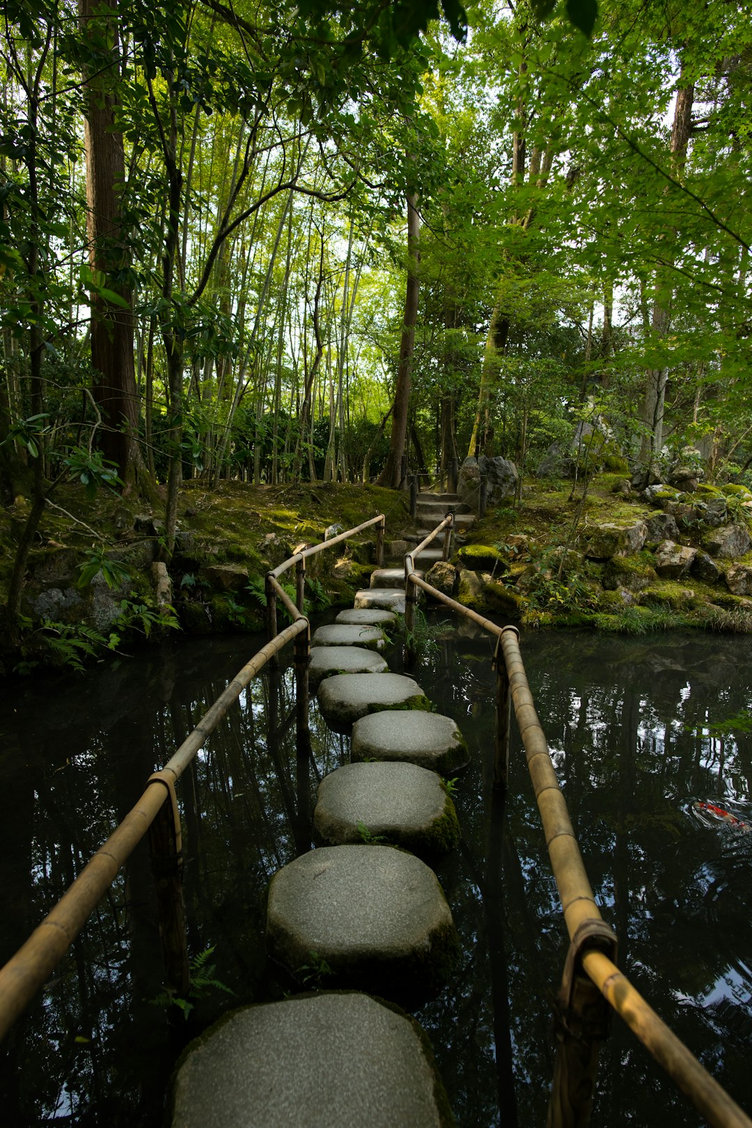stepping stones in a natural settign with trees and water. Symbolise a path to wellness by taking small steps stepping stones in a natural settign with trees and water. Symbolise a path to wellness by taking small steps