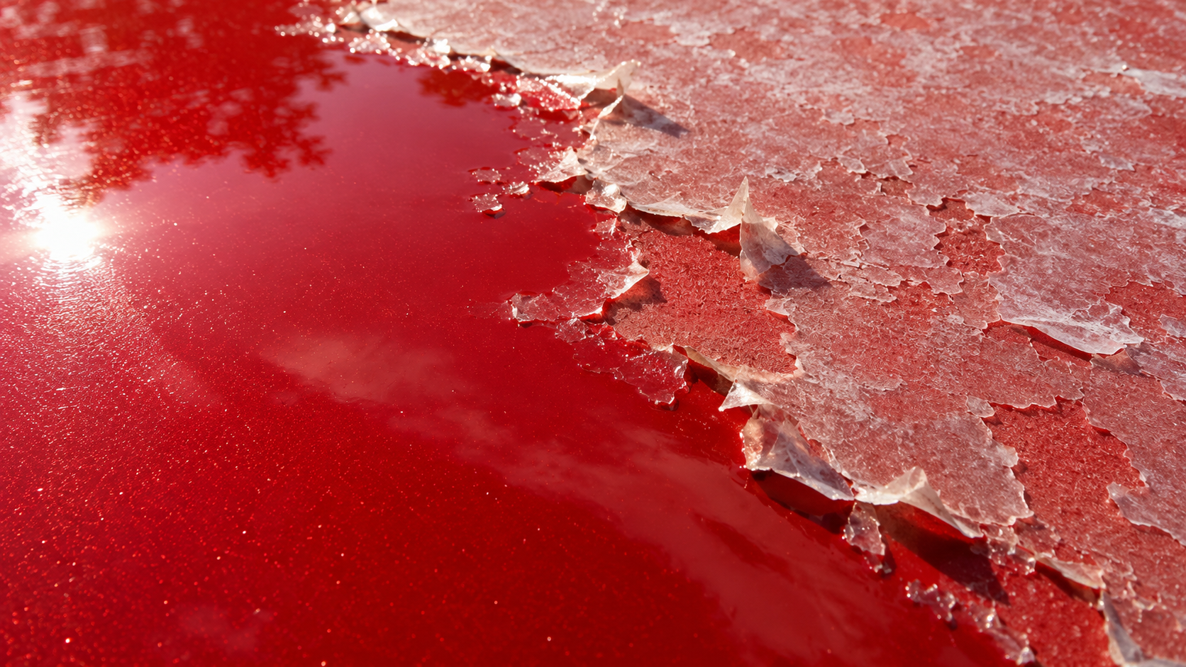 Sharp boundary between intact clear coat and failed peeling clear coat