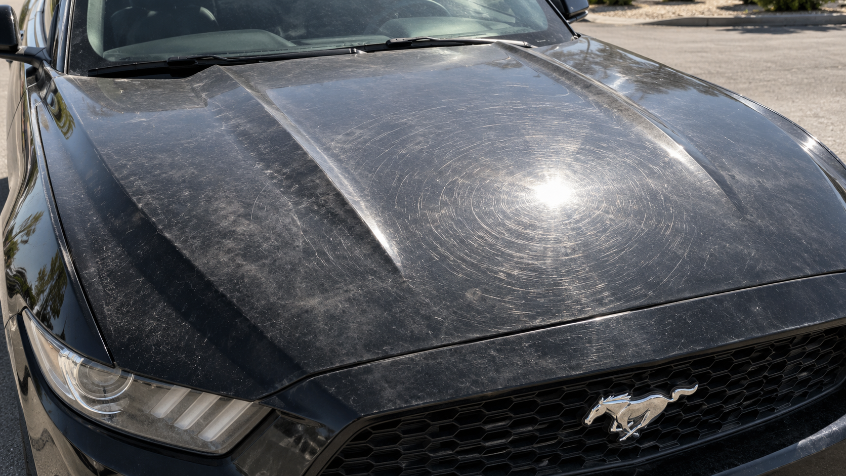 Before: dense swirl marks glowing in hard sun on black paint