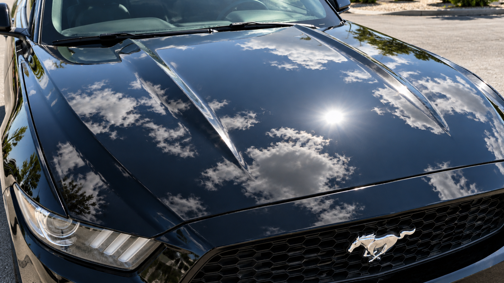 After: the same black hood corrected, coated and flawless