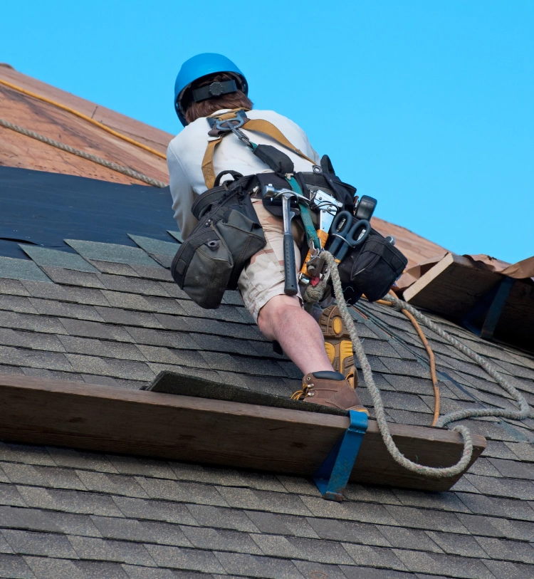 Roofing web design