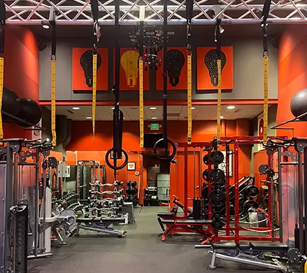 A well-equipped gym with various exercise machines, weights, and fitness equipment. The room has red walls and ceiling-mounted rings and straps for bodyweight exercises.