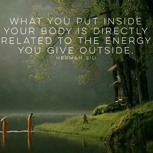 Quote: what you put inside your body is directly related to the energy you give outside