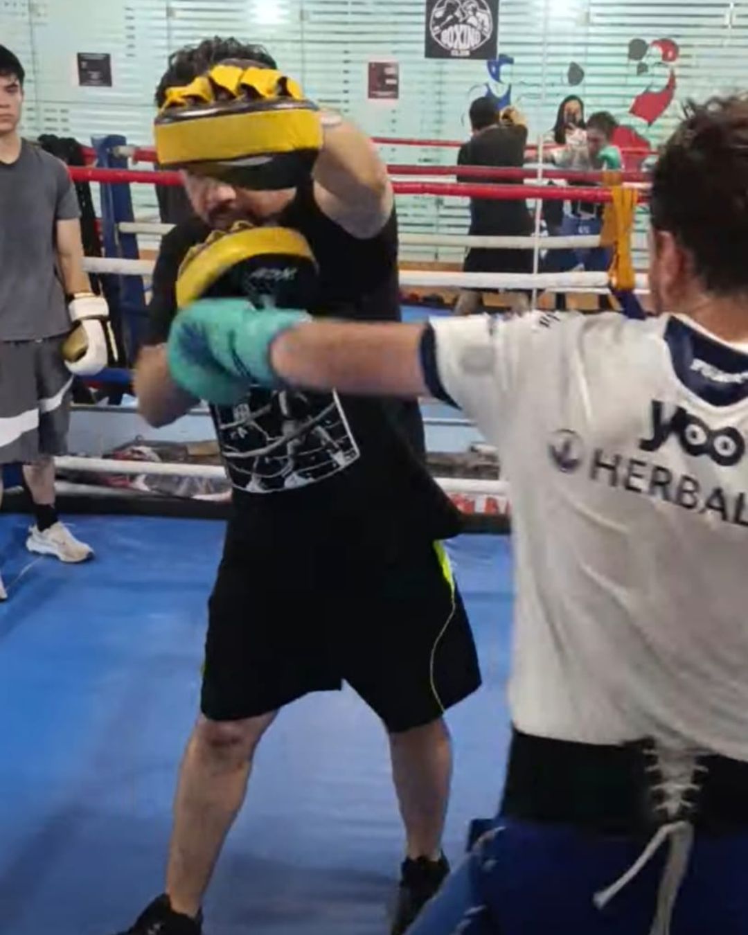 Módulo 3 — Técnica del Boxeo