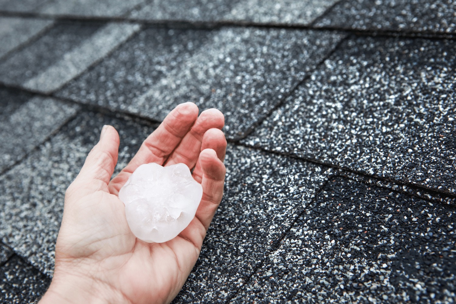 Storm & Hail Damage Assessment Bradenton, FL