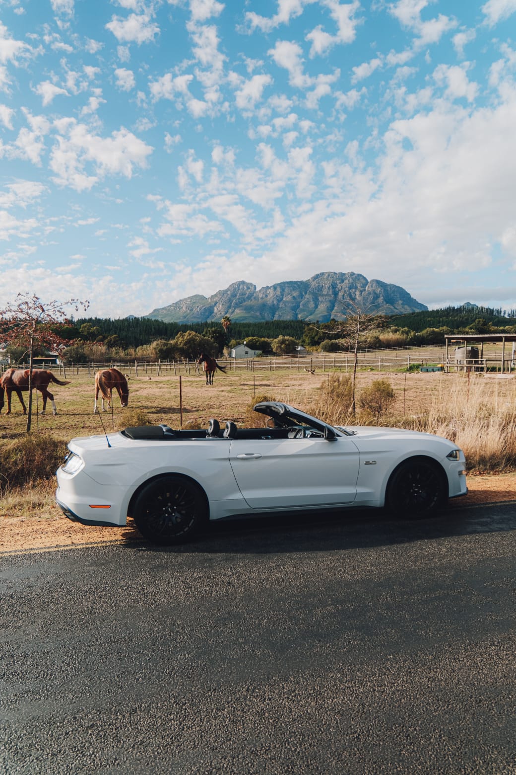 White 2021 Ford Mustang GT hero view for hire in Cape Town.