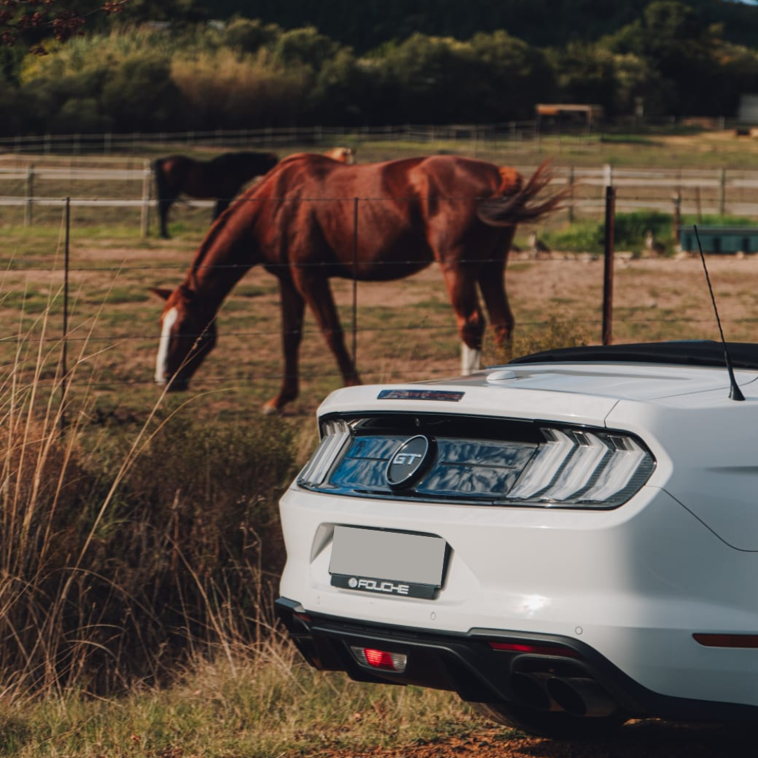 White 2021 Ford Mustang GT alternate detail angle for hire in Cape Town.