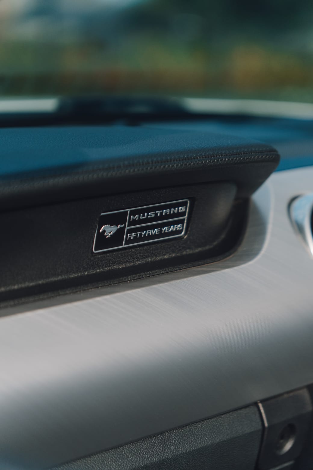 Mustang interior badge detail