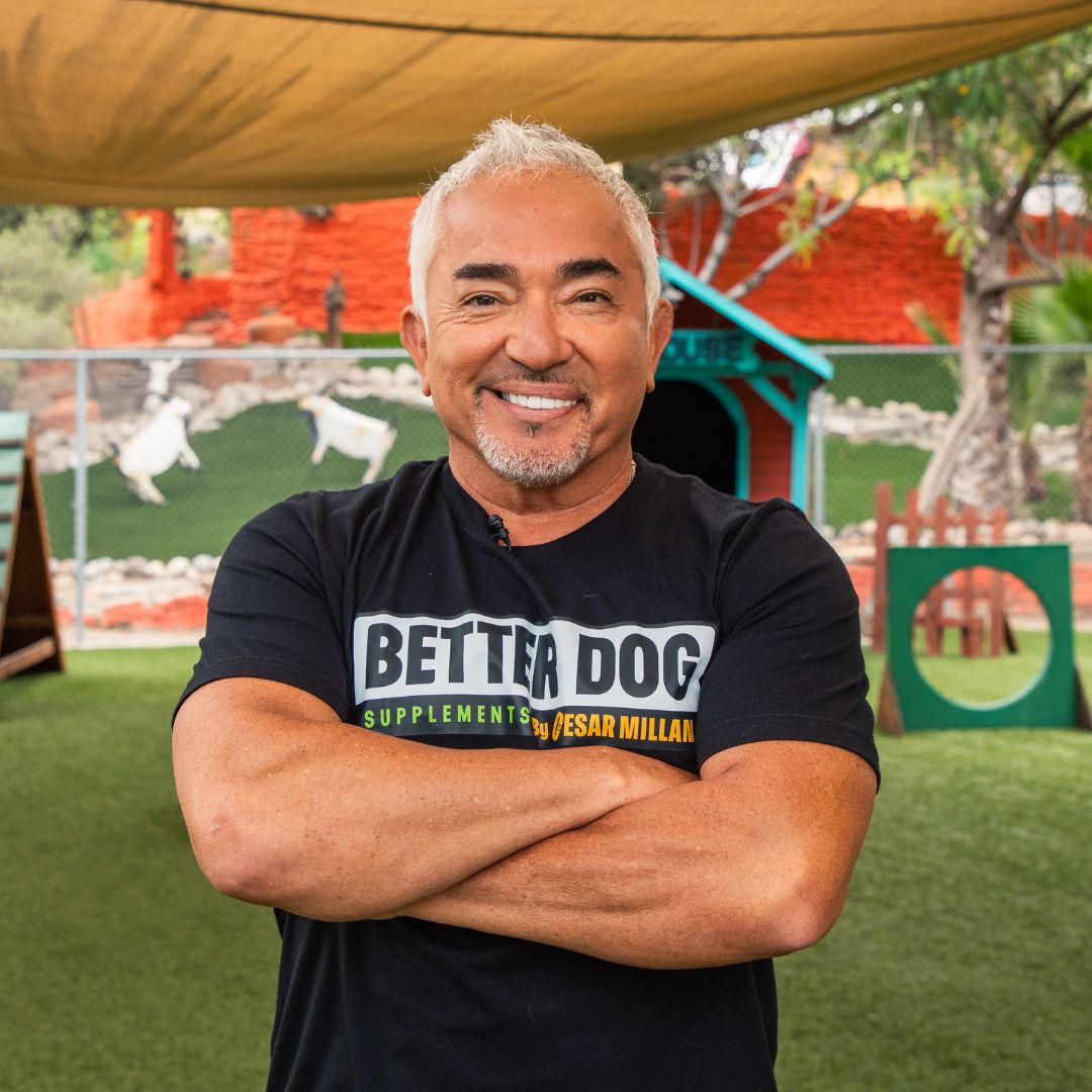 Cesar Millan
