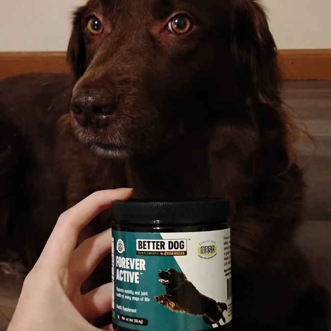 Creator with Pack Protector