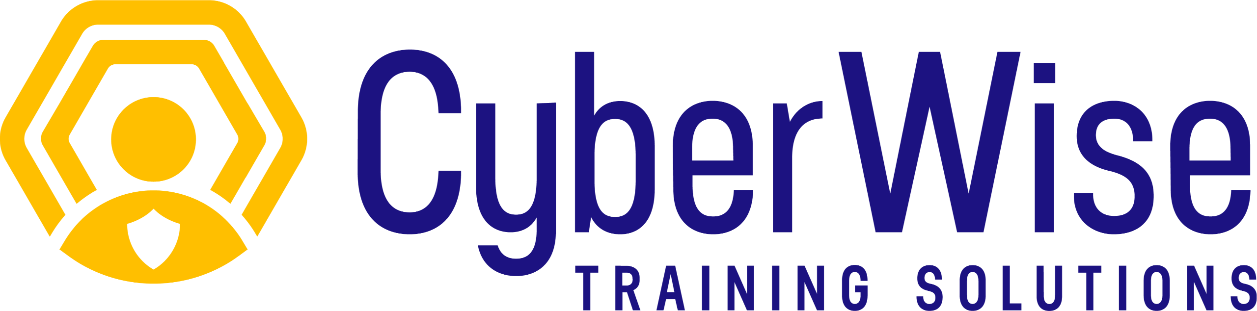 CyberWise Training Solutions