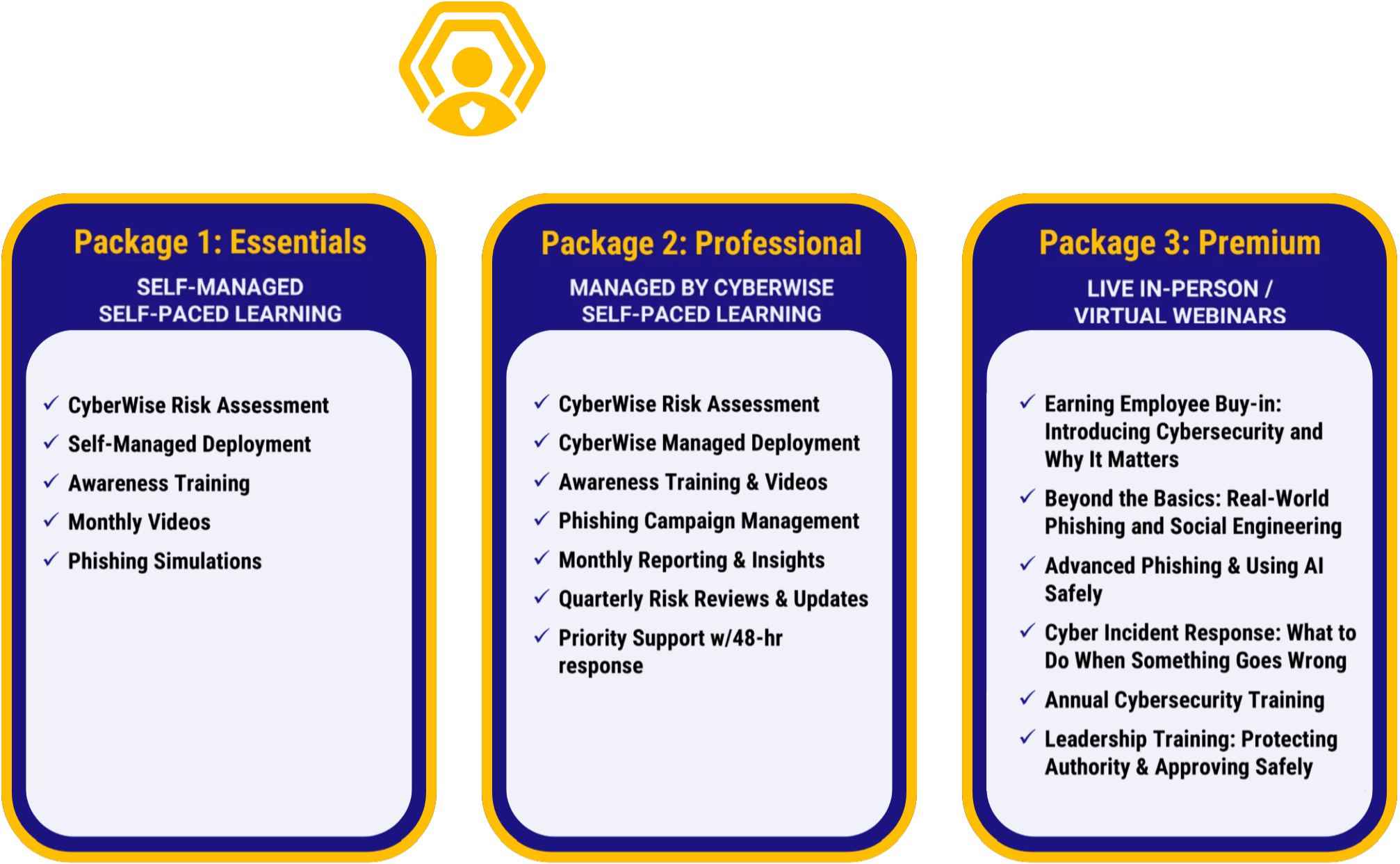 CyberWise Training Solutions package pricing