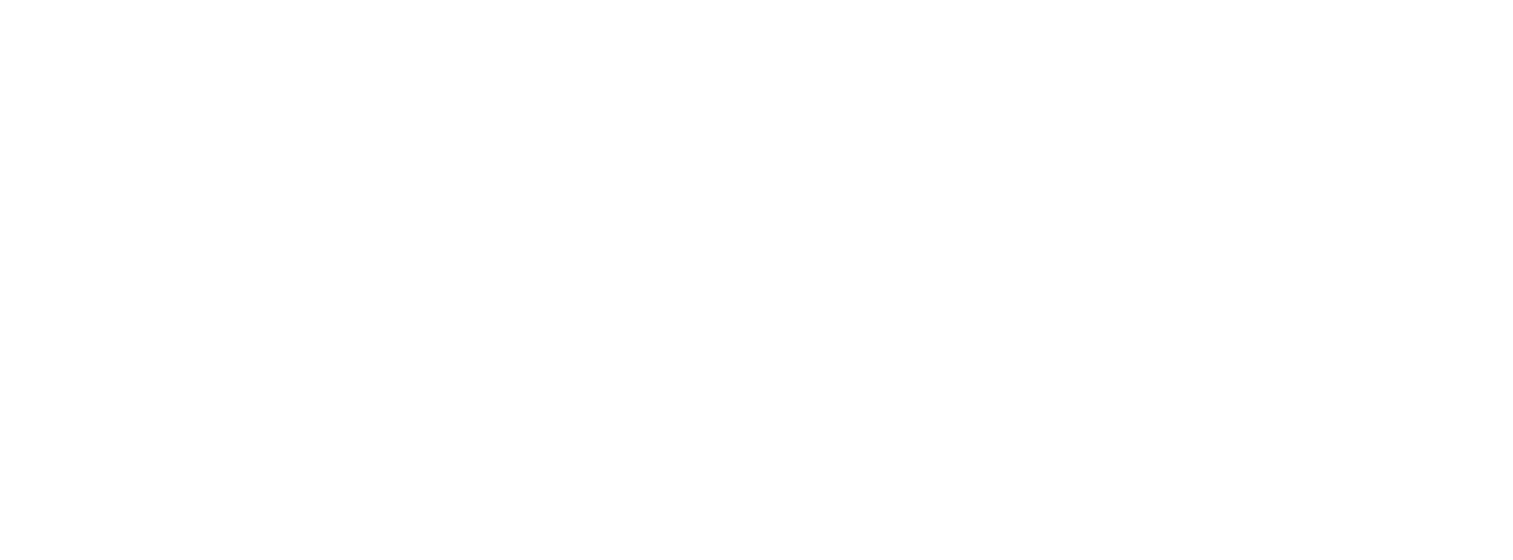 Veronika Bubenickova logo.