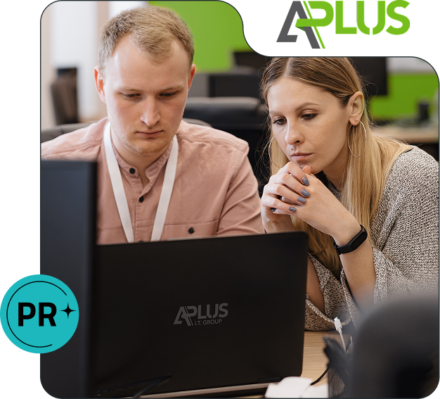 IT Project Services