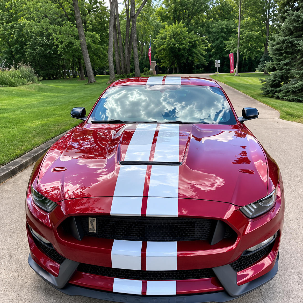 Red performance car with white racing stripes professionally detailed by Nip Tuck Auto