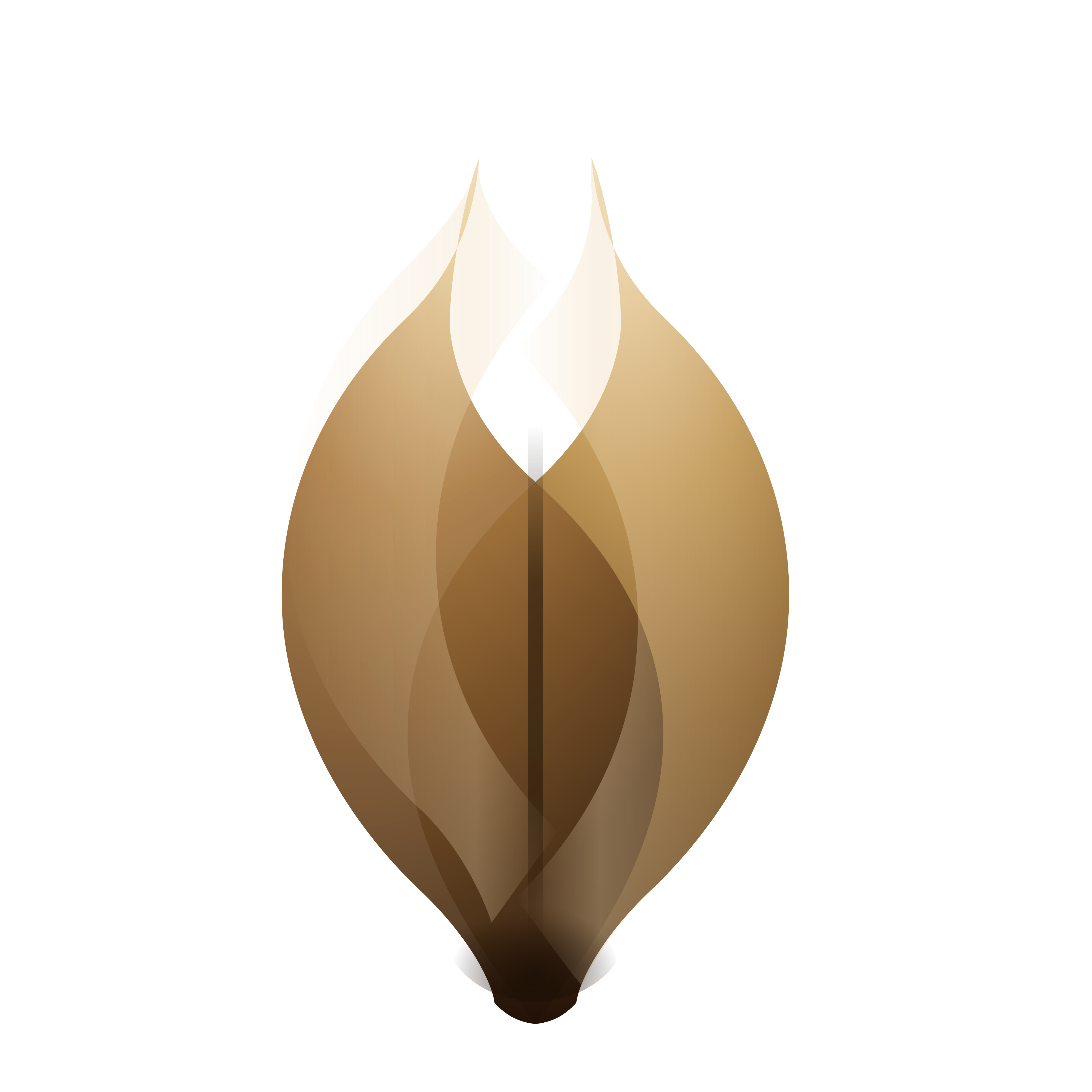 Flame