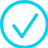 Tick icon